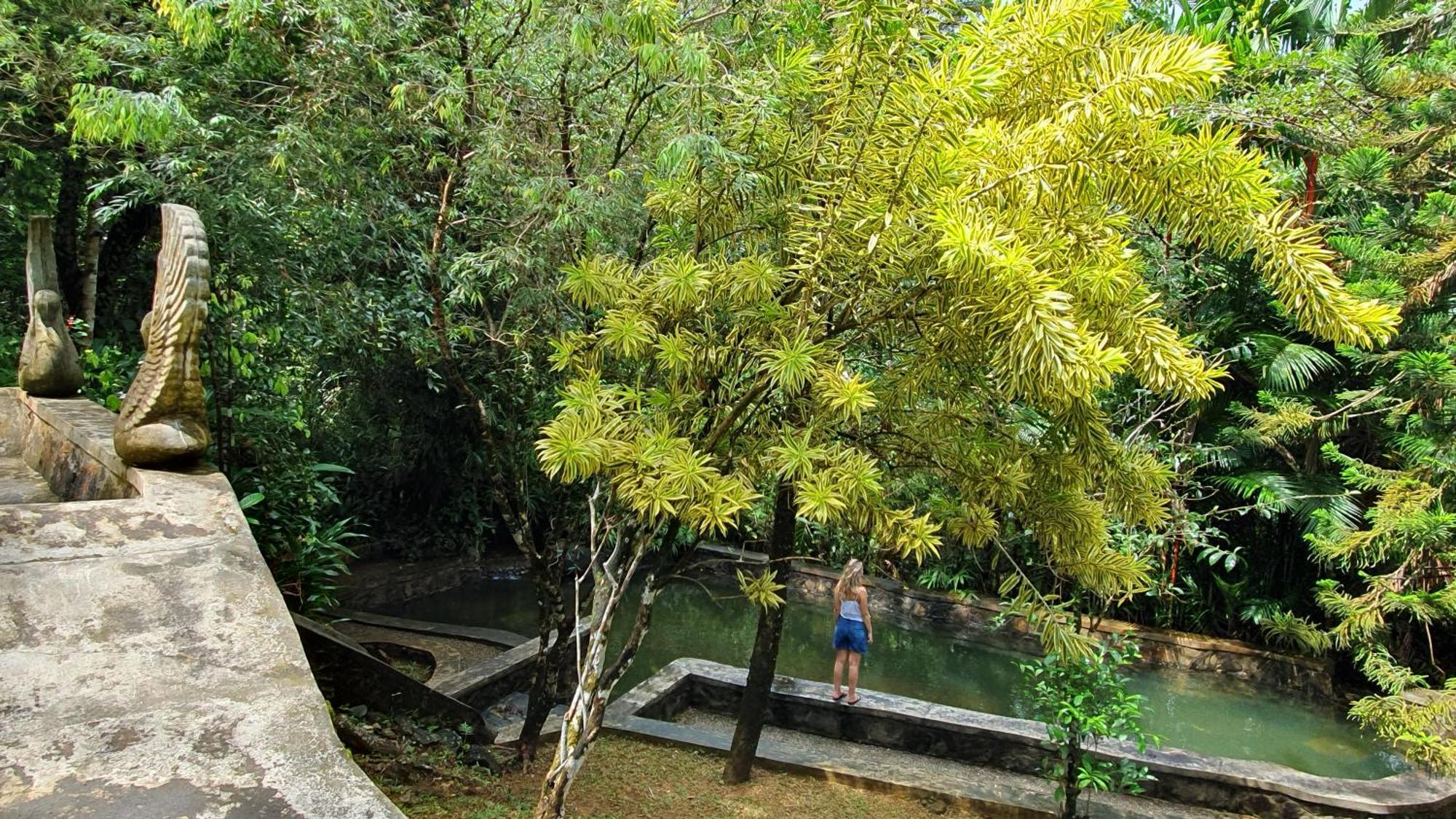 Singharaja Garden Agro Eco Lodge Pelawatta  Exteriér fotografie
