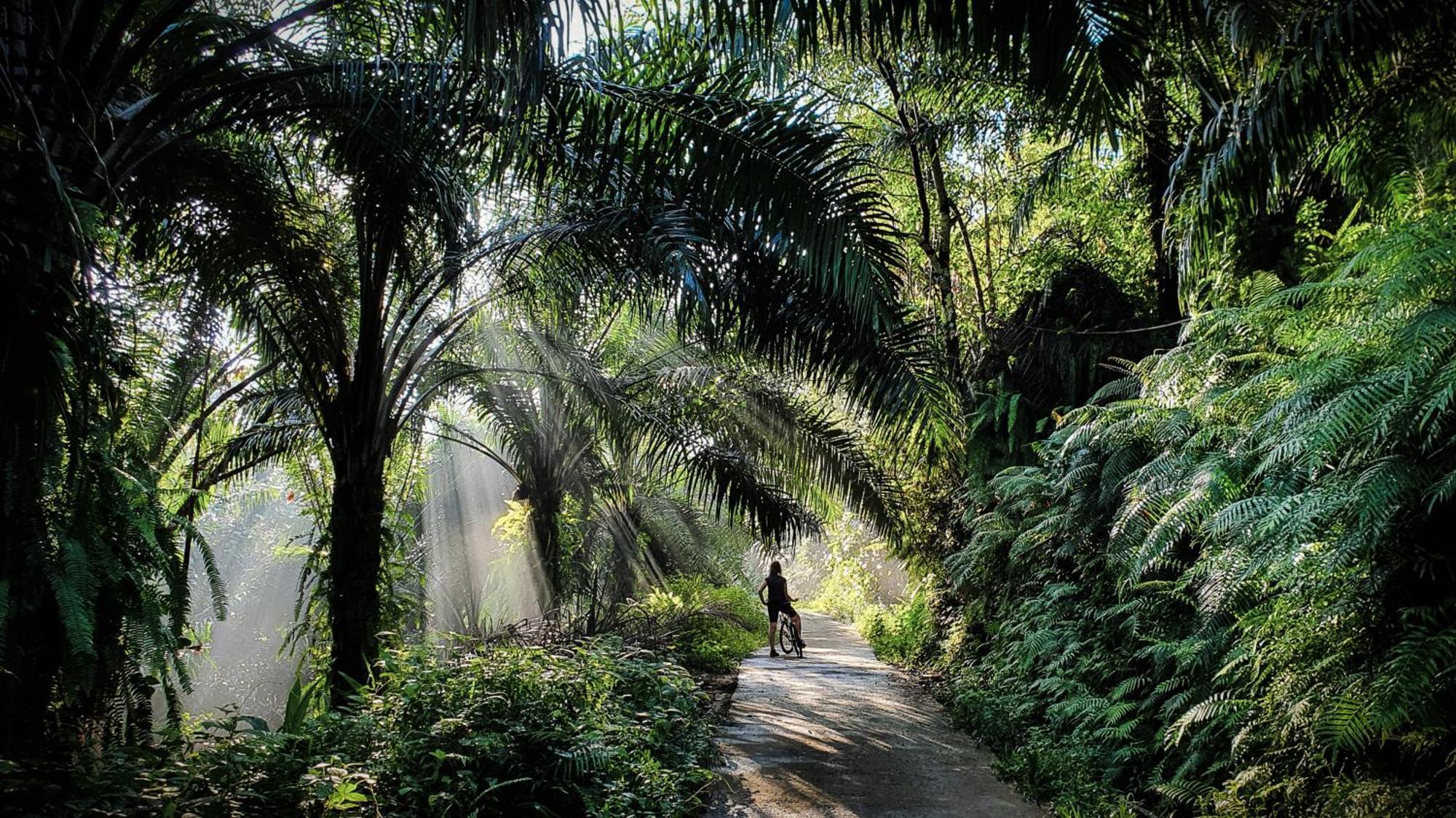 Singharaja Garden Agro Eco Lodge Pelawatta  Exteriér fotografie
