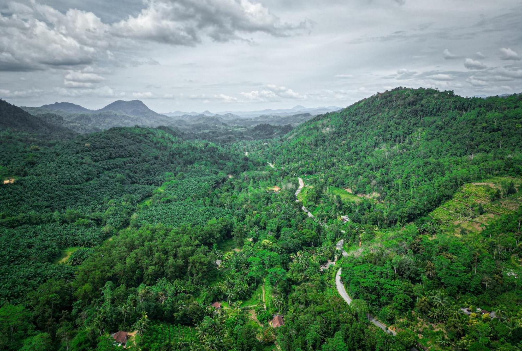 Singharaja Garden Agro Eco Lodge Pelawatta  Exteriér fotografie