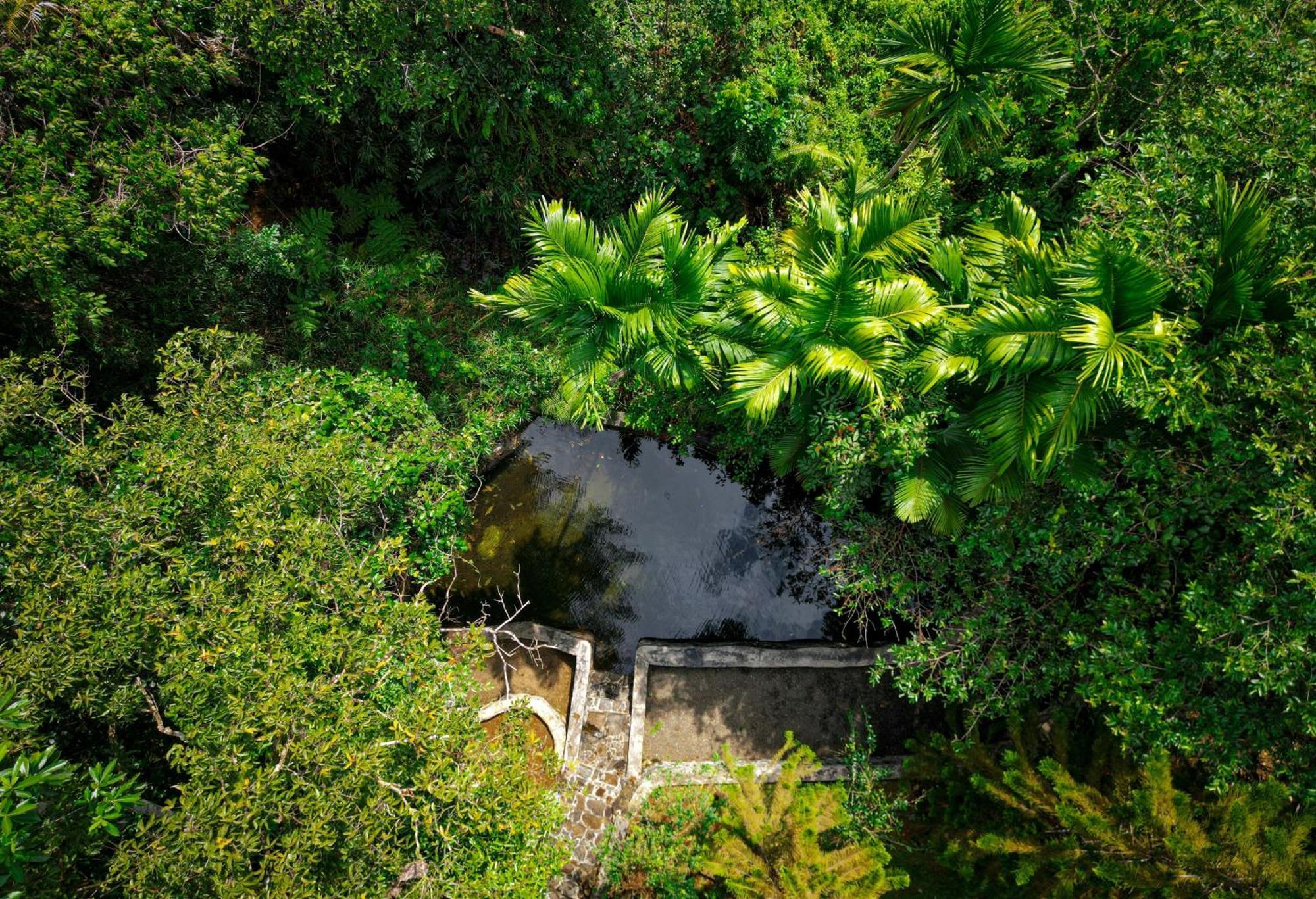 Singharaja Garden Agro Eco Lodge Pelawatta  Exteriér fotografie