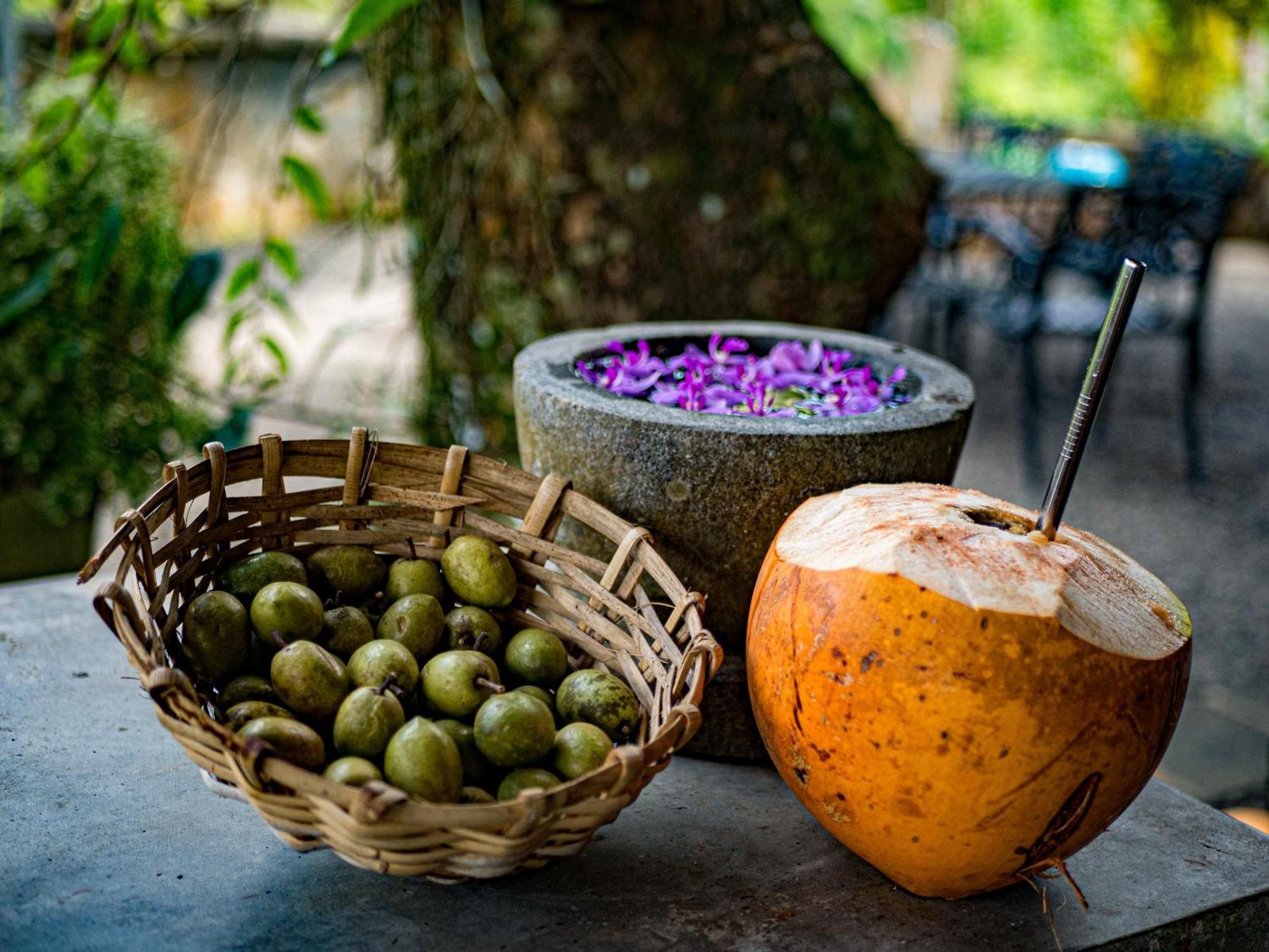 Singharaja Garden Agro Eco Lodge Pelawatta  Exteriér fotografie