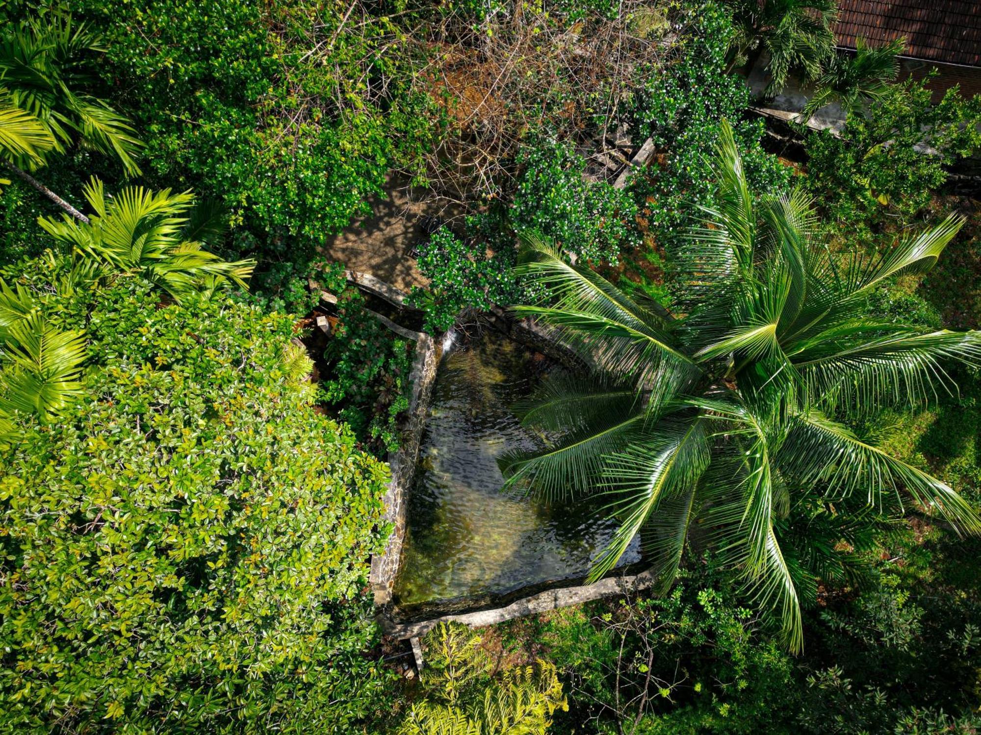 Singharaja Garden Agro Eco Lodge Pelawatta  Exteriér fotografie