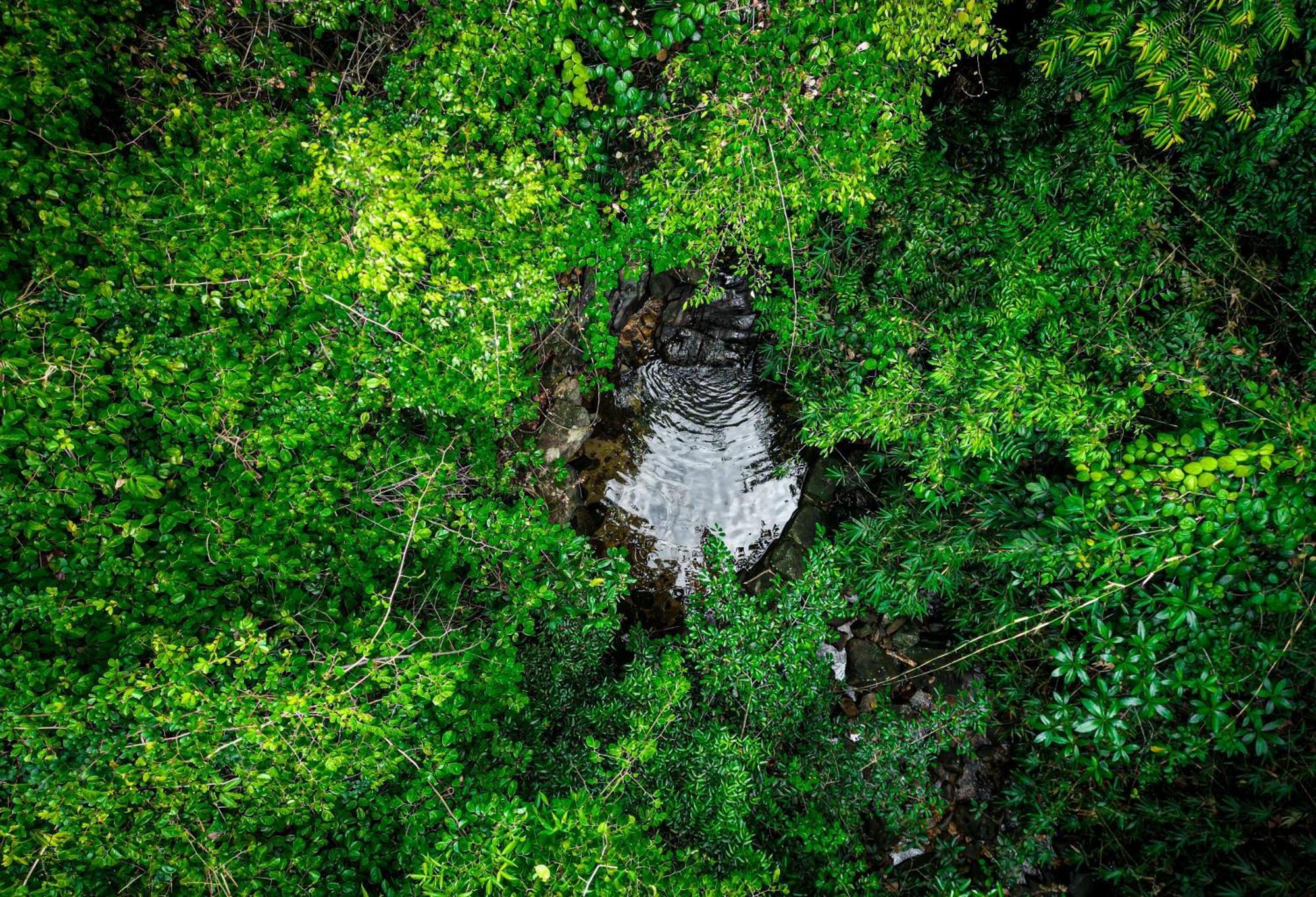 Singharaja Garden Agro Eco Lodge Pelawatta  Exteriér fotografie