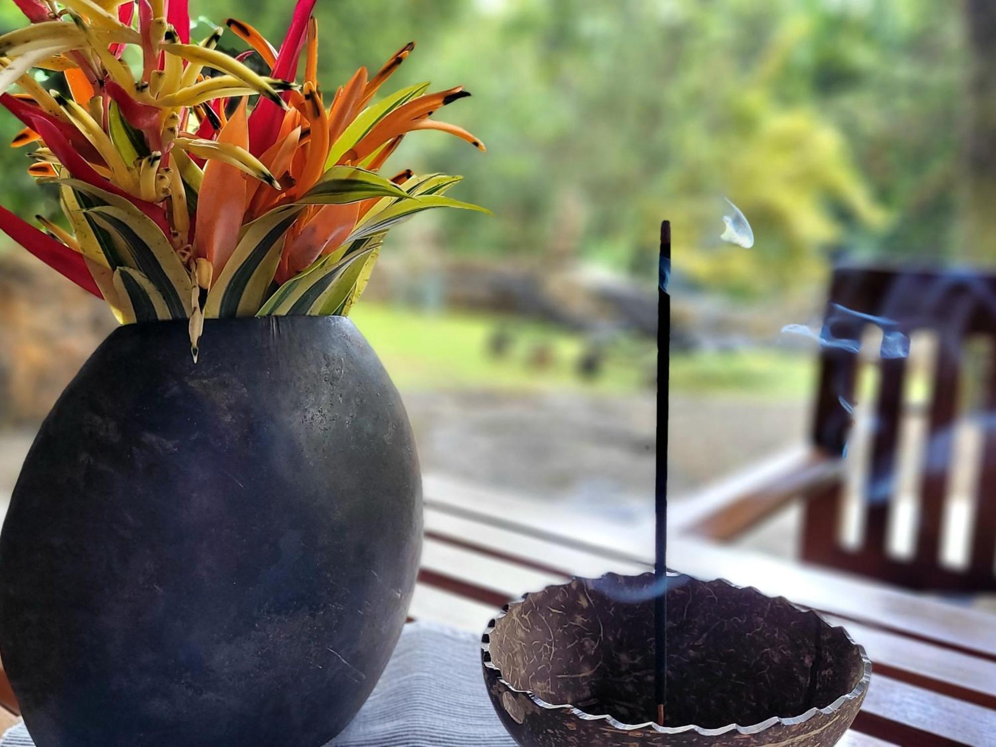 Singharaja Garden Agro Eco Lodge Pelawatta  Pokoj fotografie