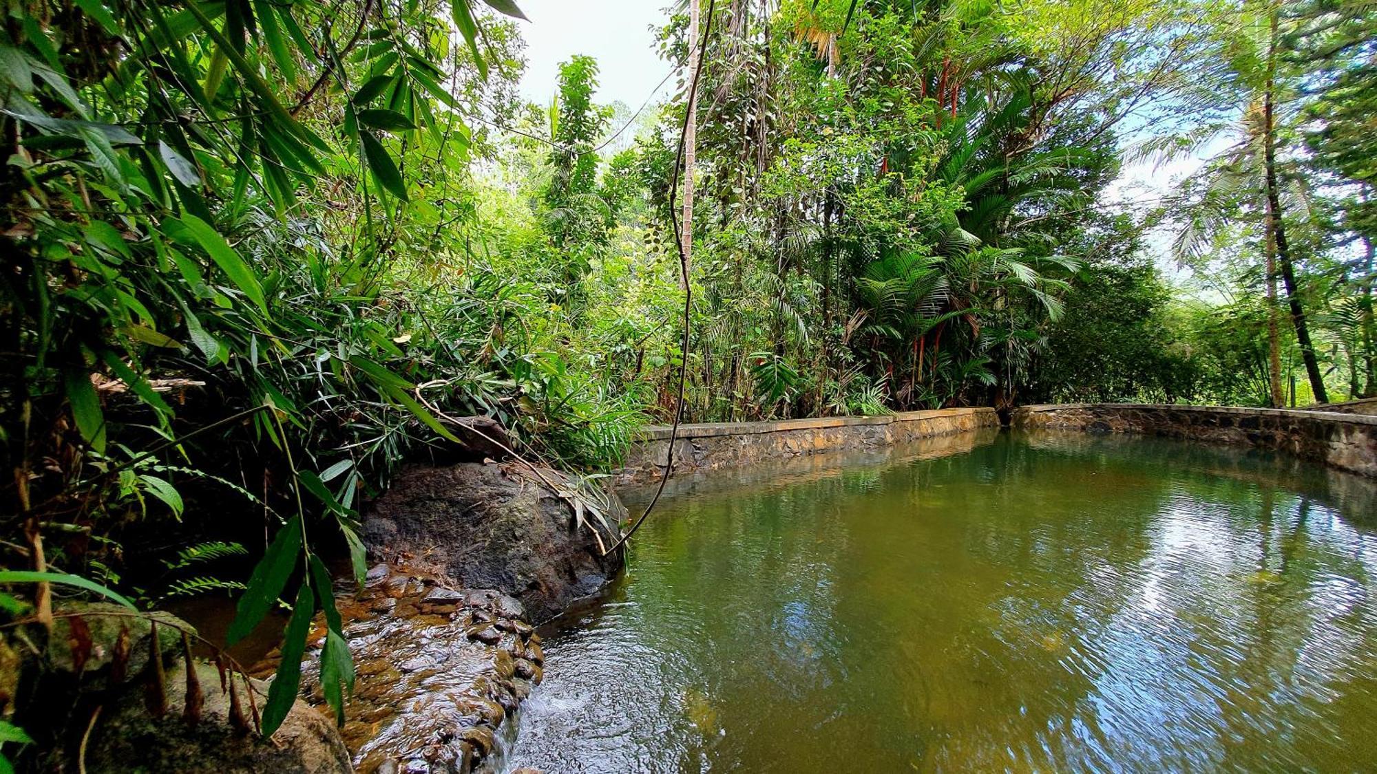 Singharaja Garden Agro Eco Lodge Pelawatta  Pokoj fotografie